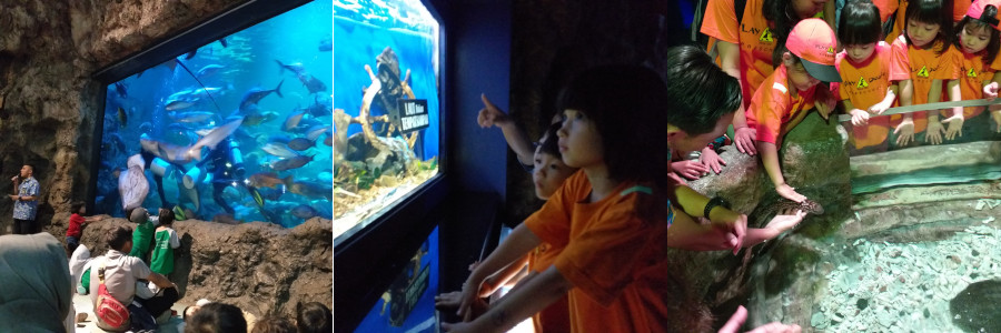 Field Trip: Sea World Ancol